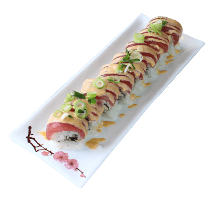 154. Salmon & Tuna Dynamite (4stuk)